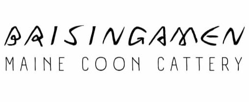 Brisingamen